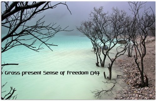 Gross - Sense Of Freedom 047