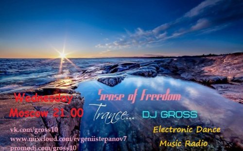 Gross - Sense Of Freedom 055  [Birthday EDM Radio]
